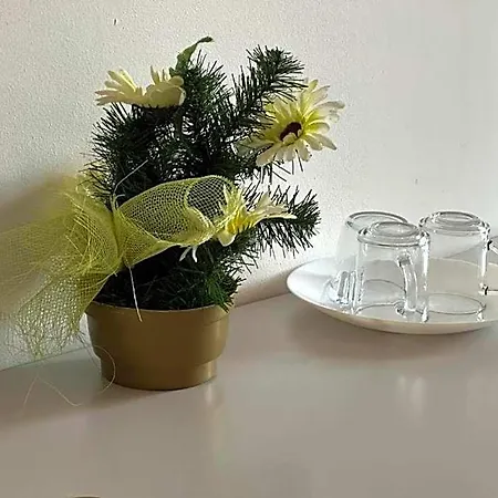 Ionia Apartment-stary Rynek Apartment *